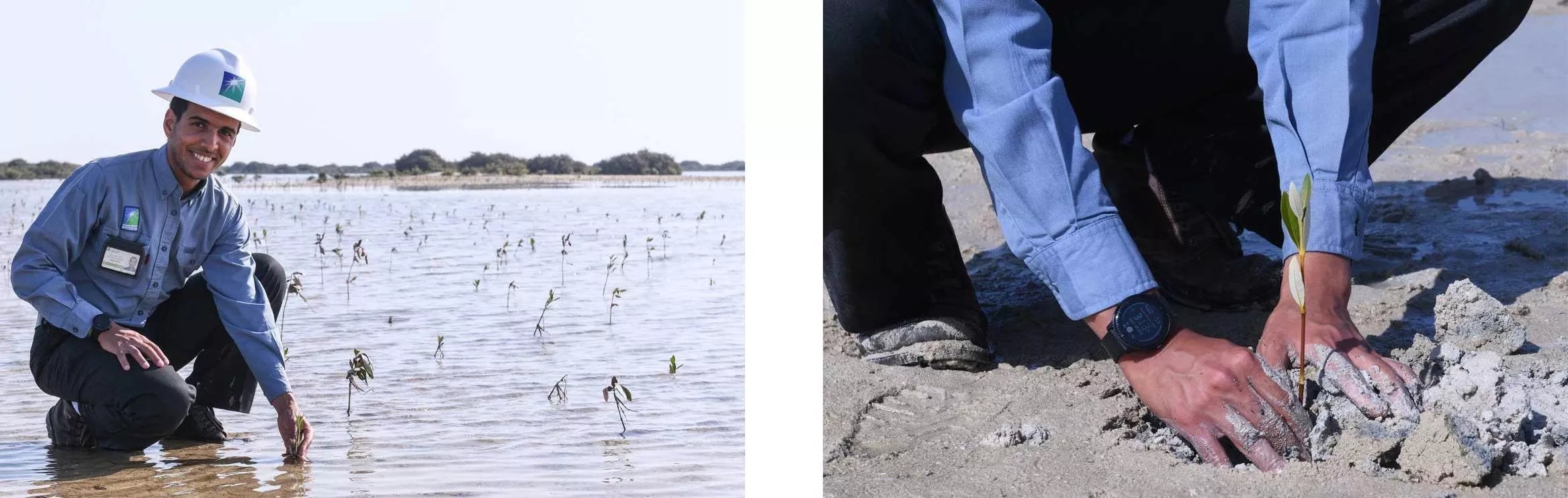 left: Hands planting a mangrove sapling in sand.  right: Employee bending down to plant saplings in their new home