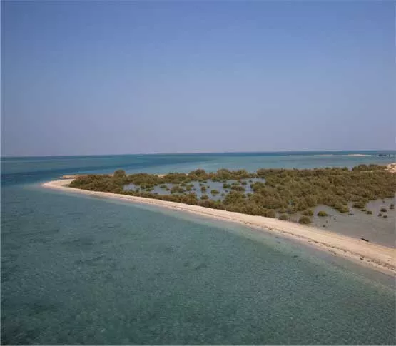 Abu Ali, an area in the Gulf coast